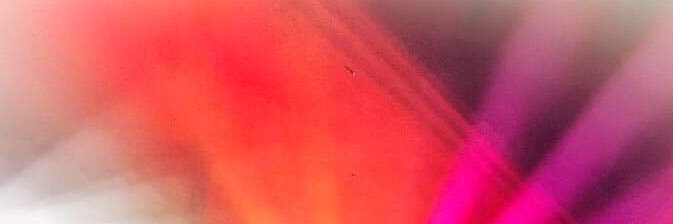 neuschwander's profile banner image