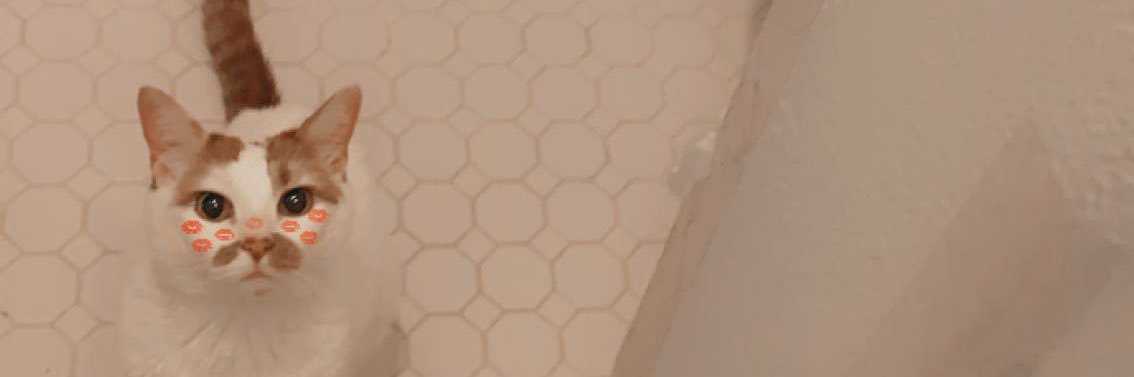 Taylorwolfe29's profile banner image