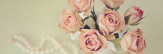 Alison Hopkins banner