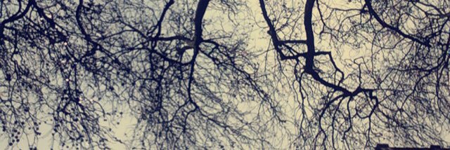 blacksidebieber's profile banner image