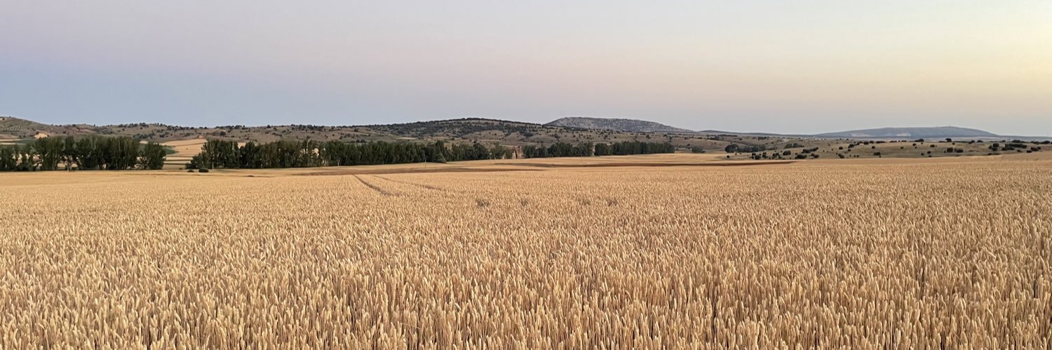Ferran Toutain banner