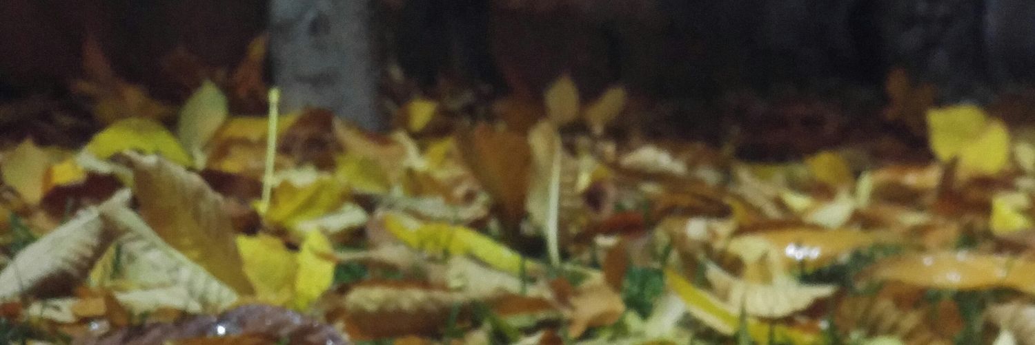 yusufl44's profile banner image