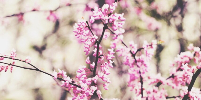 JennaBaseEP's profile banner image