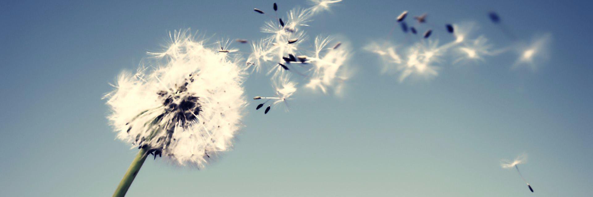 Be_Agu's profile banner image