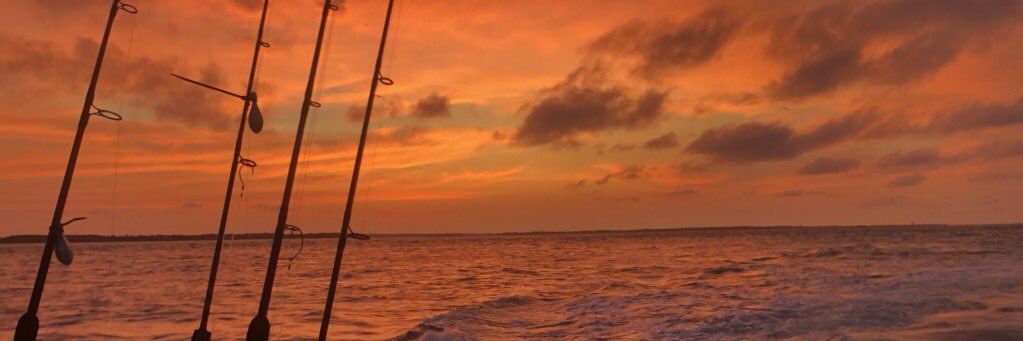 mshardem11's profile banner image