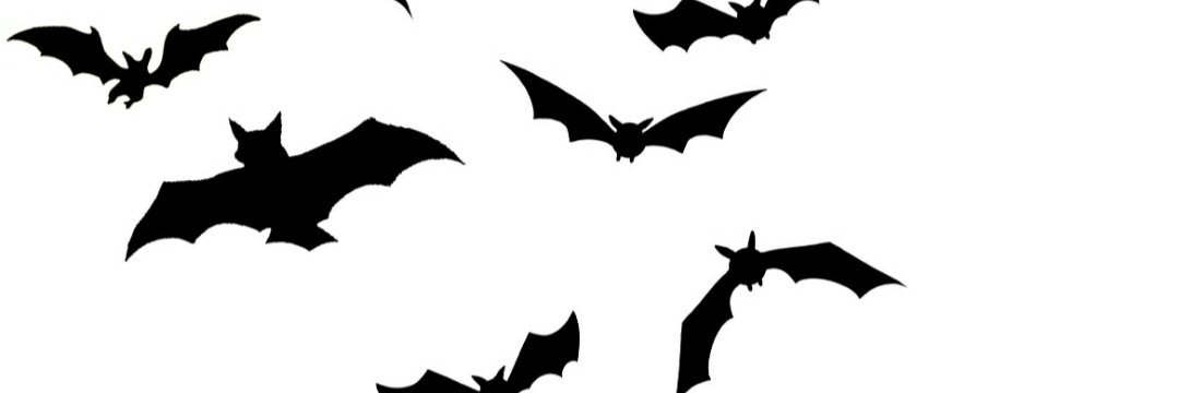 trurdhd74's profile banner image