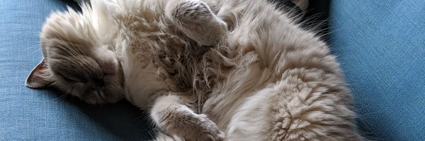 gdp1985 Profile Banner