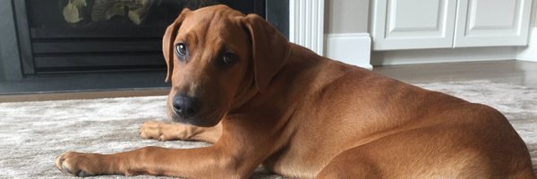 tiffblackmon Profile Banner