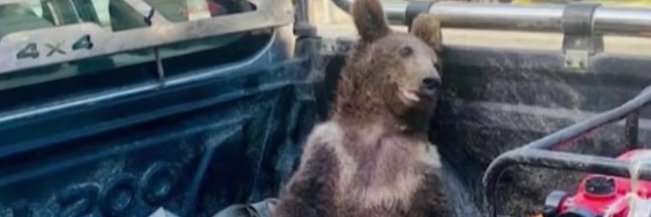 Slobberedon Myknobovic banner