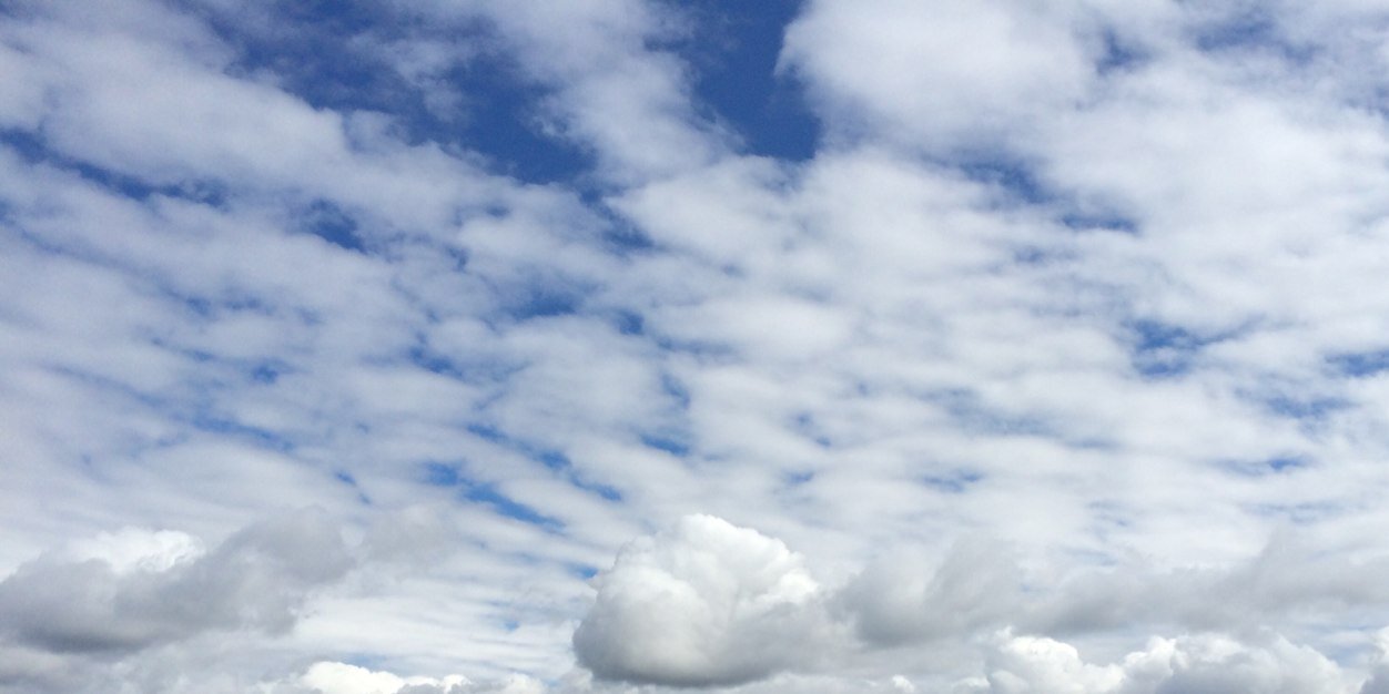 evaernfors's profile banner image