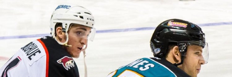 Dan O'Donoghue banner