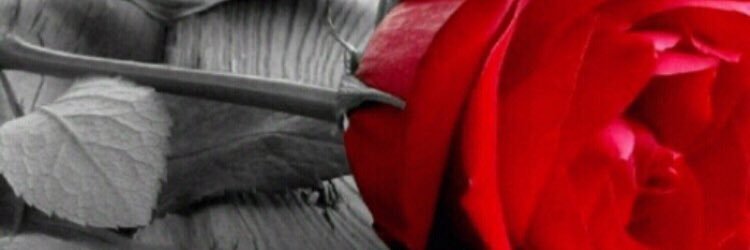 hh99nn1's profile banner image