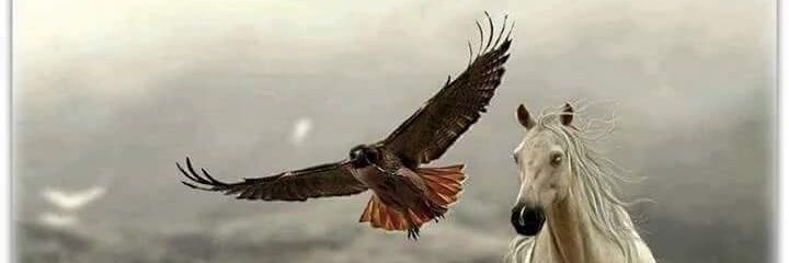 f16f16500's profile banner image