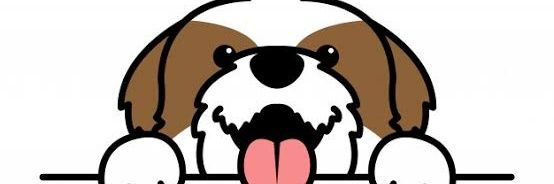 ManuelaButto's profile banner image