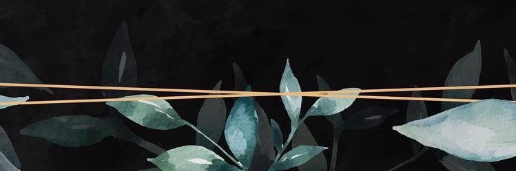 Deb. banner