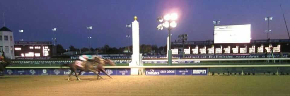 Robert Fulsher banner