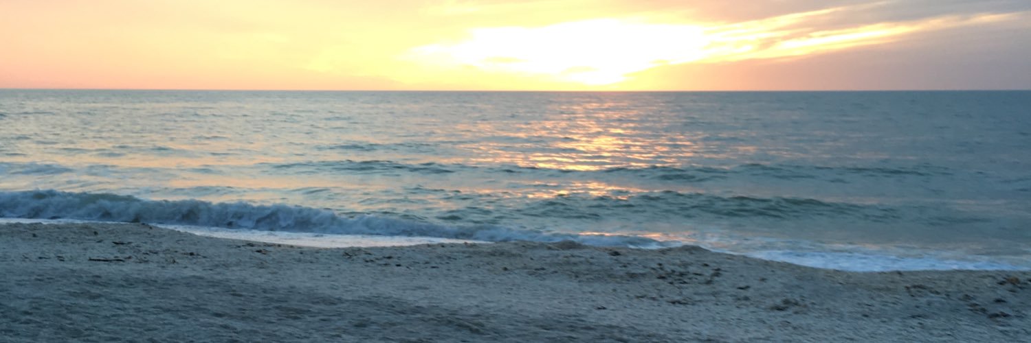 gracekm01's profile banner image
