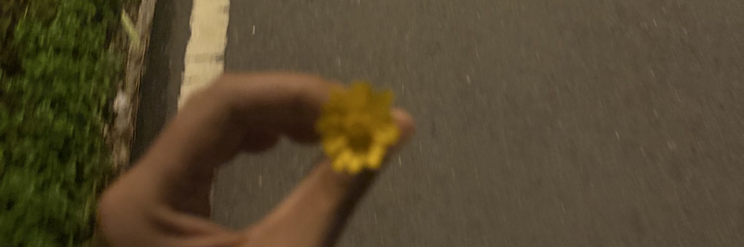 rreallymee's profile banner image