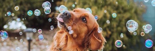 itsRayTay's profile banner image