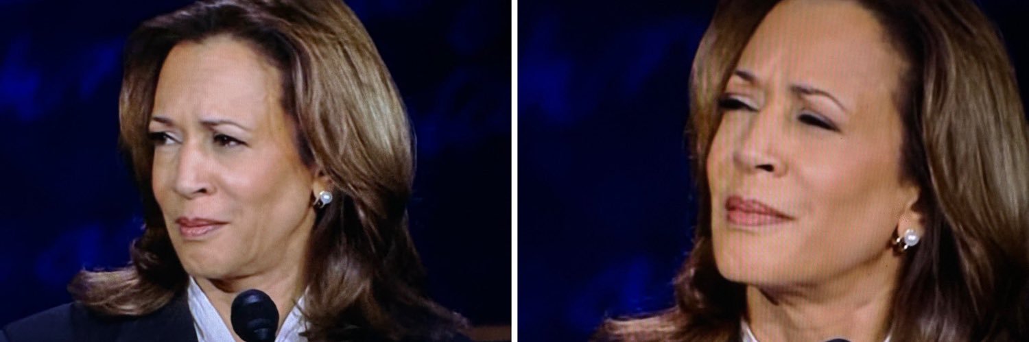 Theodora K. Mullins banner