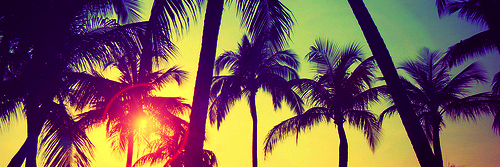 MariaDoroshia's profile banner image