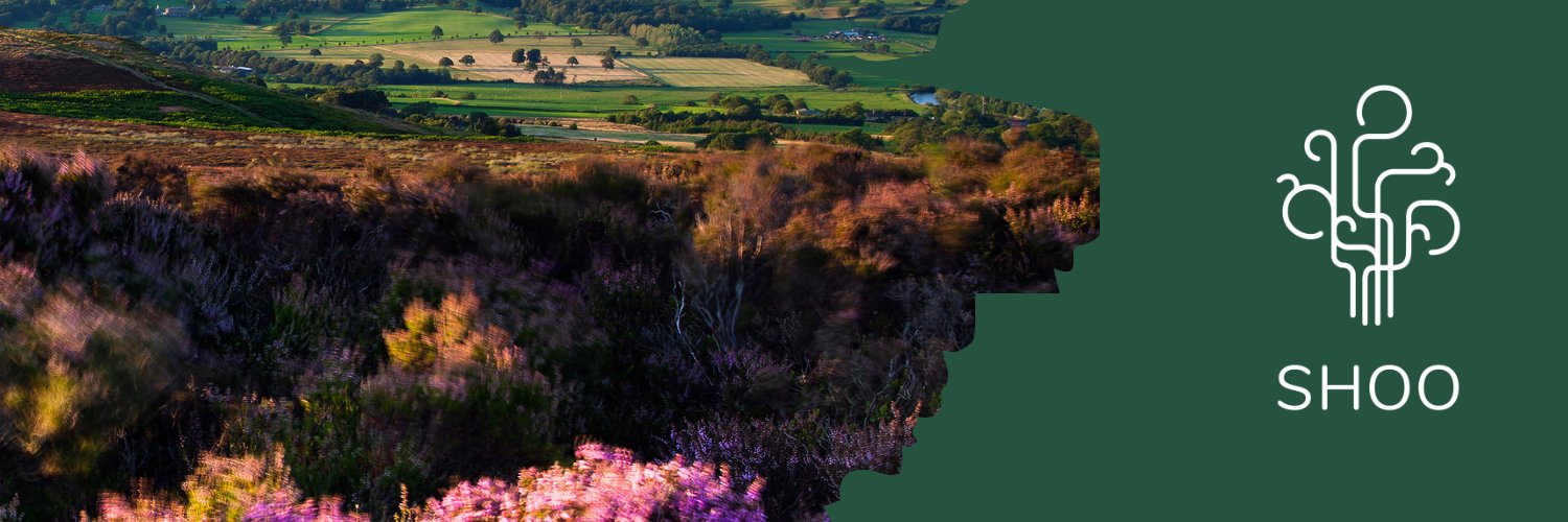 SHOO | Marketing consultancy banner