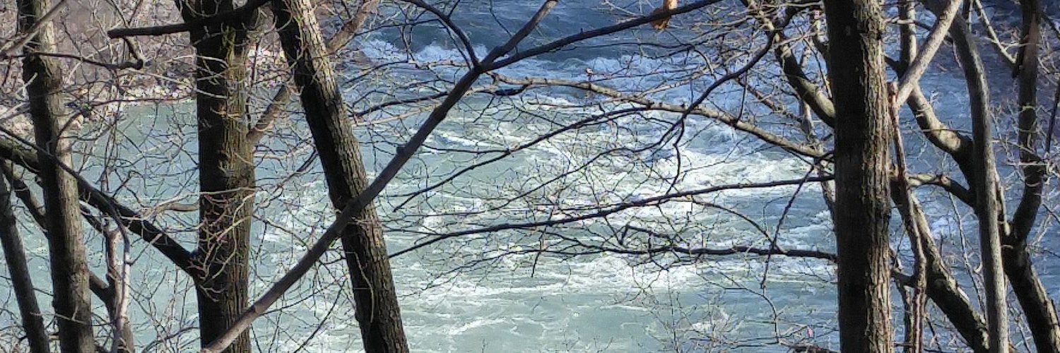 roseannleveille's profile banner image