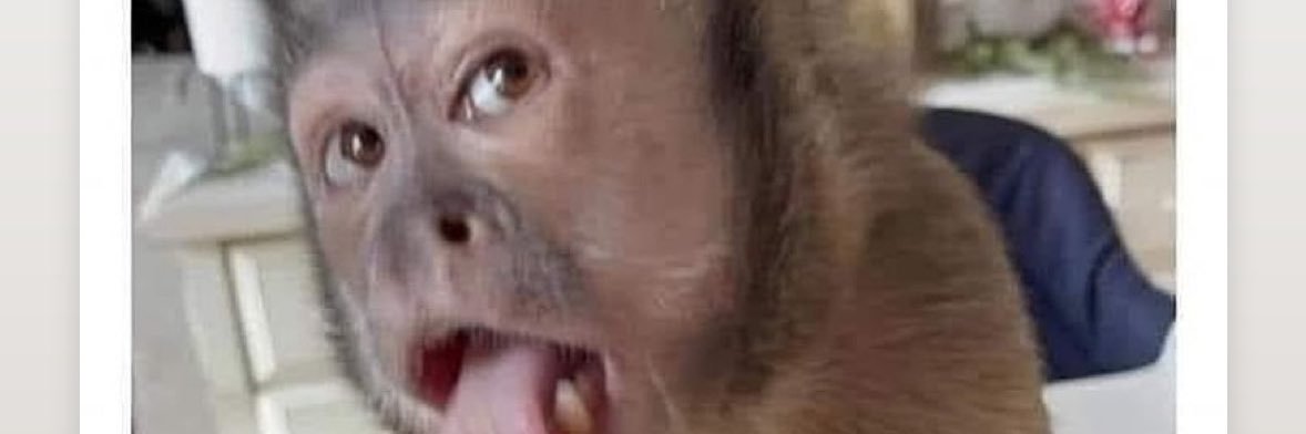 deraia33's profile banner image