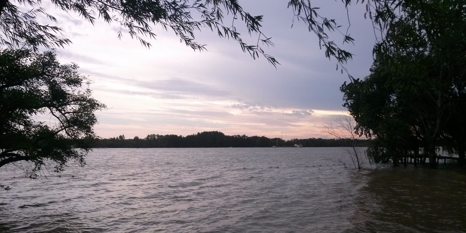 AlbaPinola's profile banner image