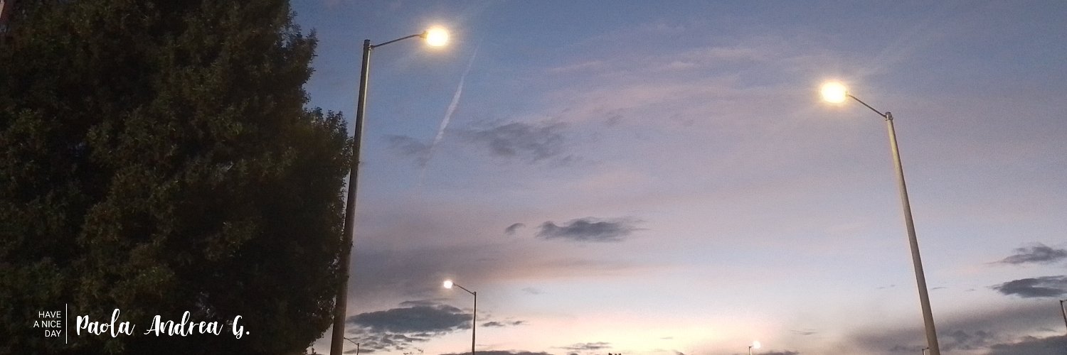paga0209's profile banner image