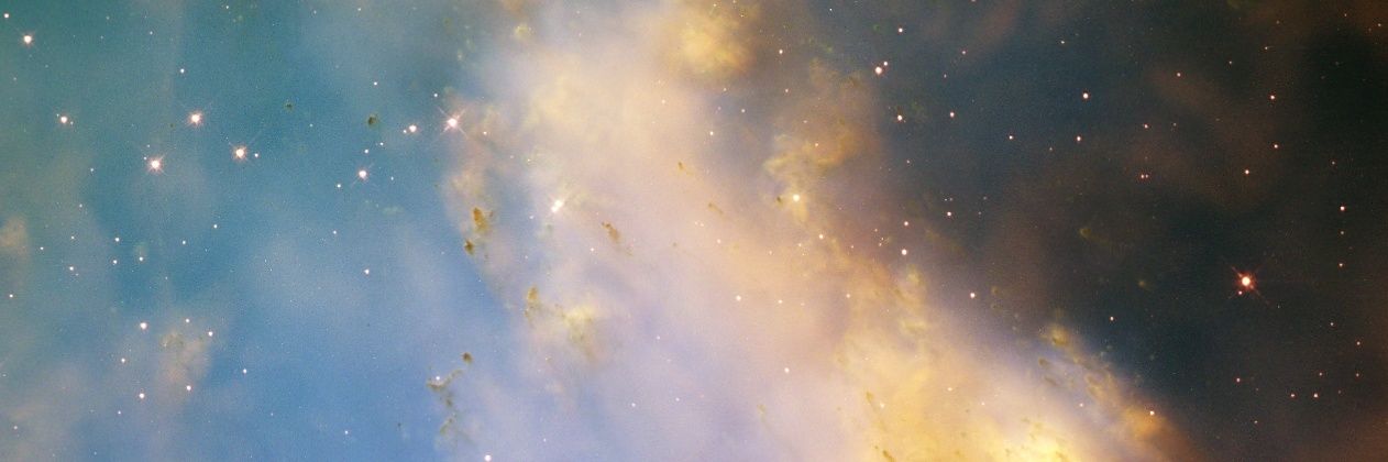 Matthew John Ritchie banner