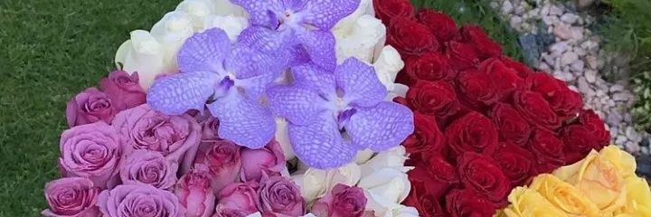kali_cas's profile banner image