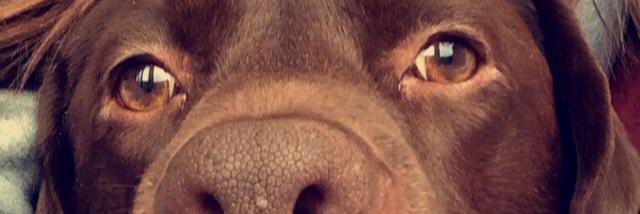 dargs90's profile banner image