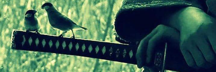 MarioGDiNatale's profile banner image