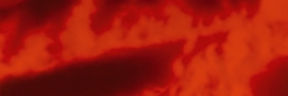 Legacy x new boyz's banner