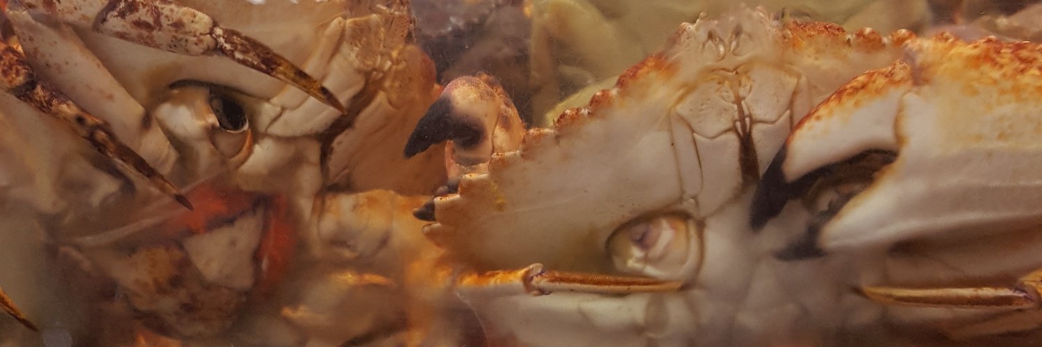 凹陷頭盔 banner