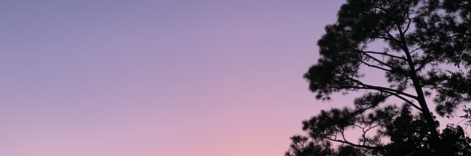 kzellner18's profile banner image