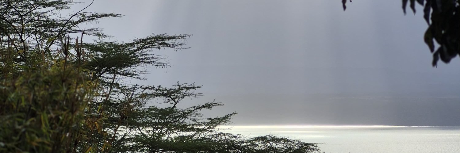 wi11Mk's profile banner image