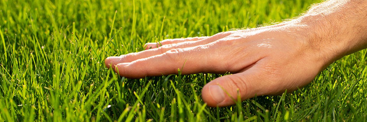 Timmy Crowley banner