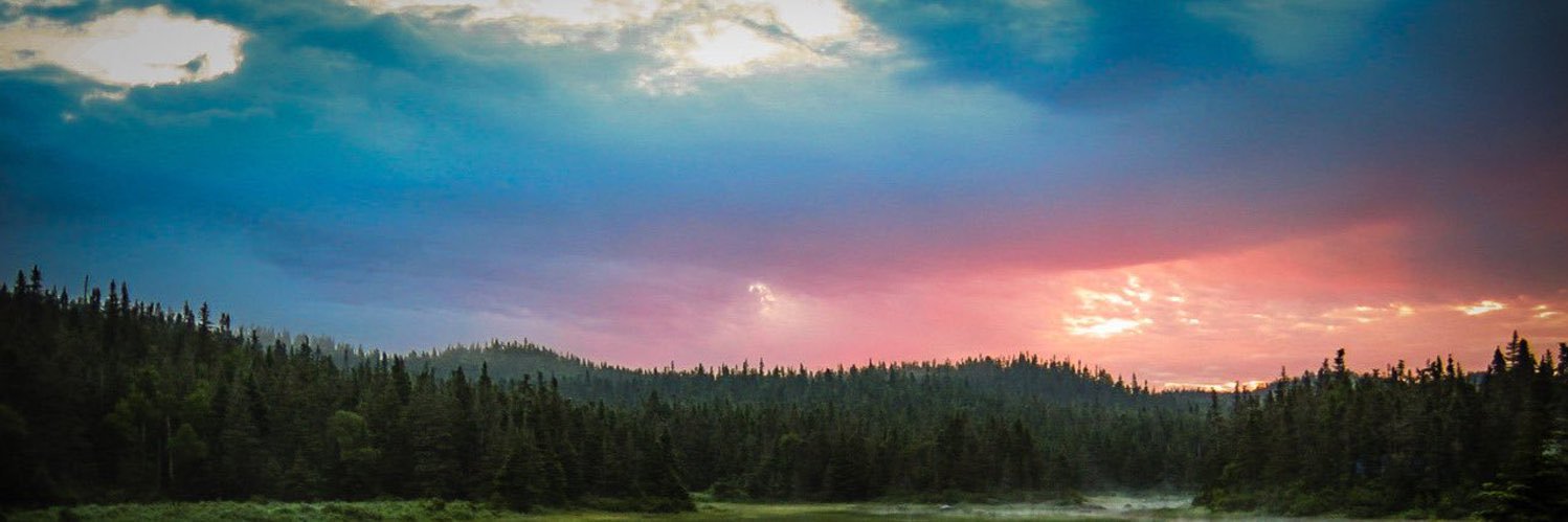 ashleedavis_'s profile banner image