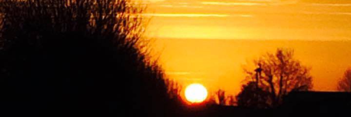 Niall Fitzmaurice banner