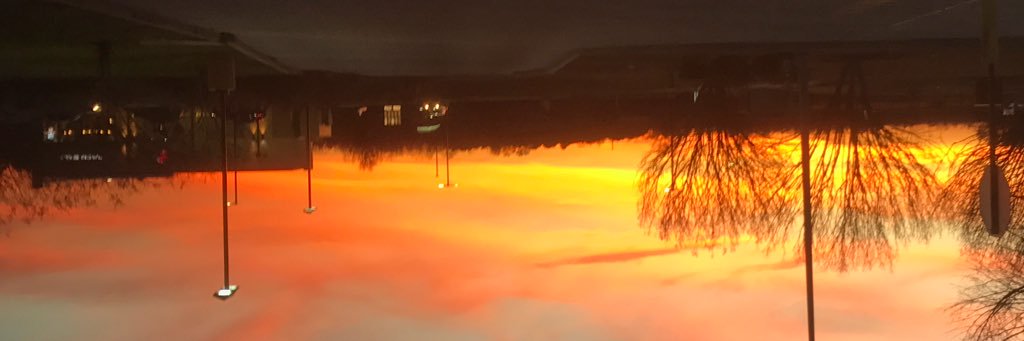 mscarboro's profile banner image