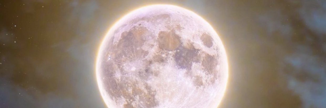 dtatebro's profile banner image