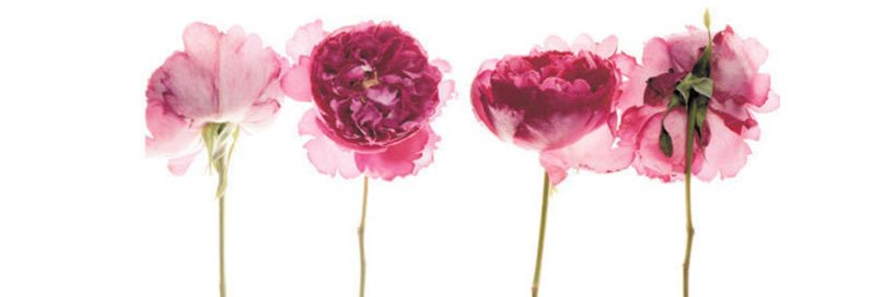 bnessner's profile banner image
