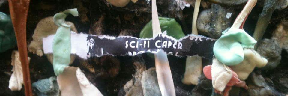 SciFiCaper's profile banner image