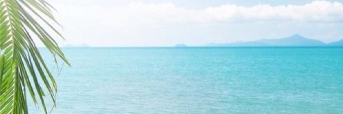 brenroru's profile banner image