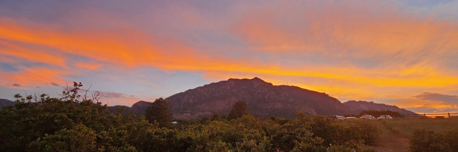 🌺Daphadill🌺 banner