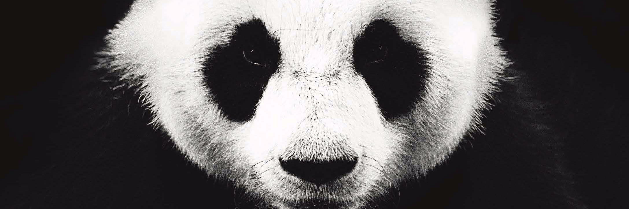 LifetimeDevelopments banner