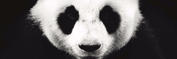 Lifetime_Dev Profile Banner