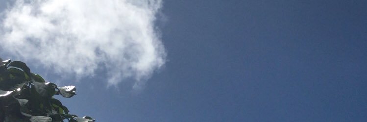 ohdebra_'s profile banner image